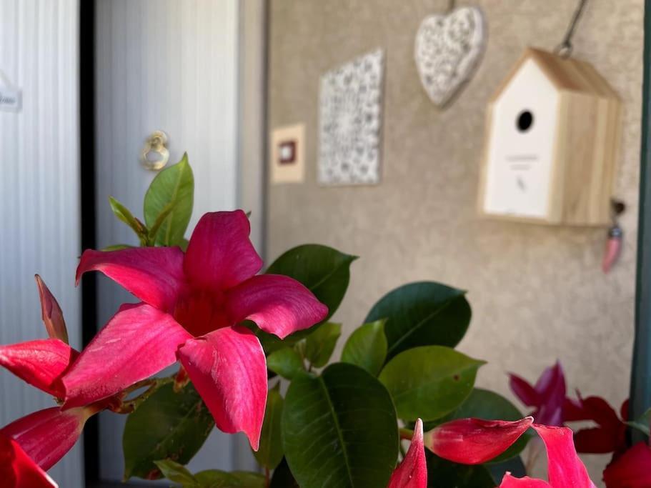 Annali Casa Vacanze - Shabby Style Nella Natura La Spezia Buitenkant foto