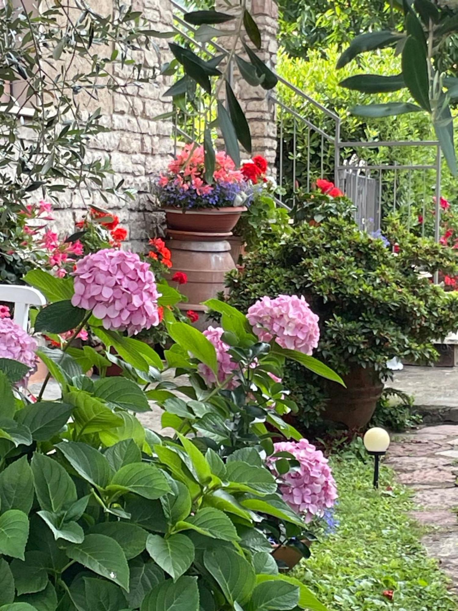 Annali Casa Vacanze - Shabby Style Nella Natura La Spezia Buitenkant foto